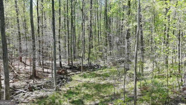 100 Chippewa Trail, Canton, GA 30114