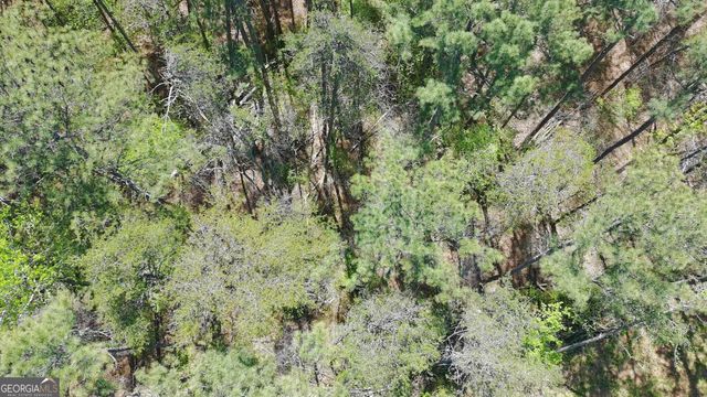 100 Chippewa Trail, Canton, GA 30114