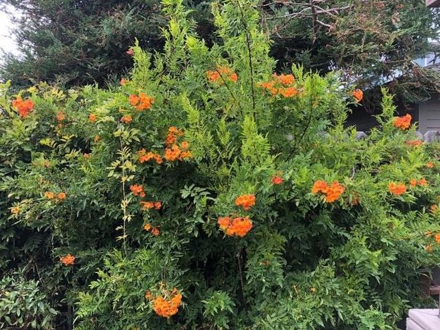 306 Crocker Avenue, Pacific Grove, CA 93950