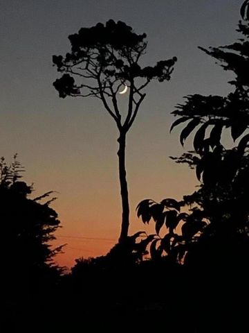 306 Crocker Avenue, Pacific Grove, CA 93950