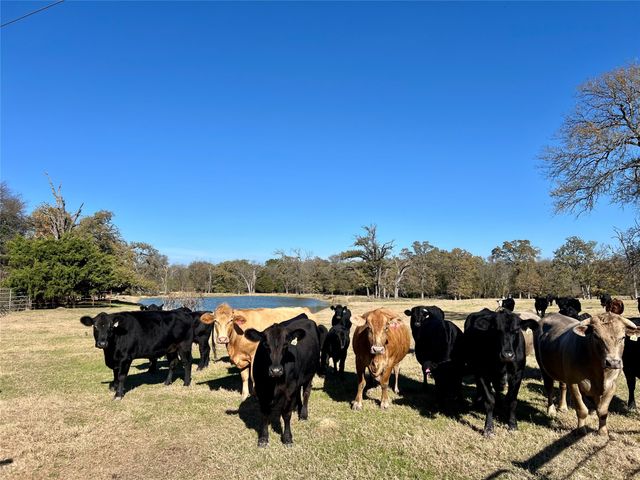 0 County Road 2104, Kemp, TX 75143