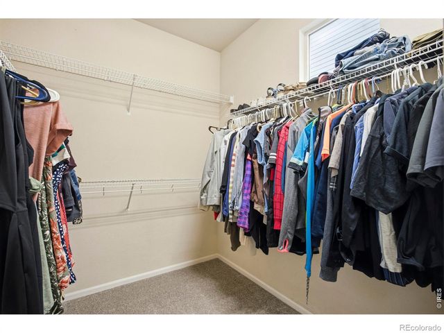 3608 Observatory Drive, Fort Collins, CO 80528