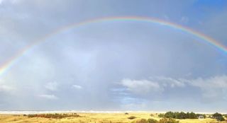 304 14th Street NW #109, Long Beach, WA 98631