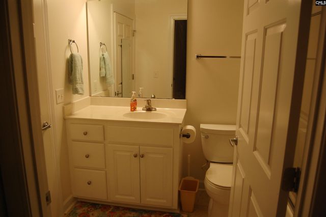 216 Powell Drive, Lexington, SC 29072