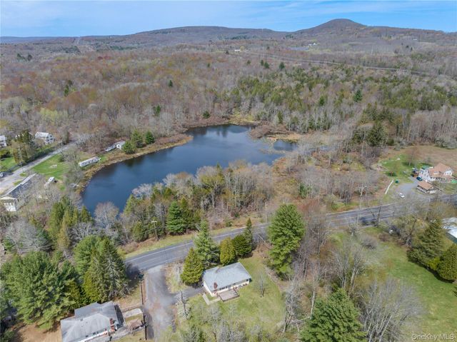 1 Jade Lane, Swan Lake, NY 12783