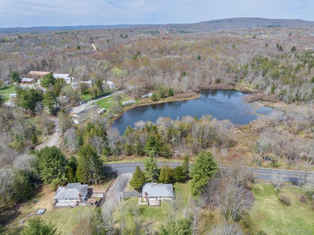 1 Jade Lane, Swan Lake, NY 12783