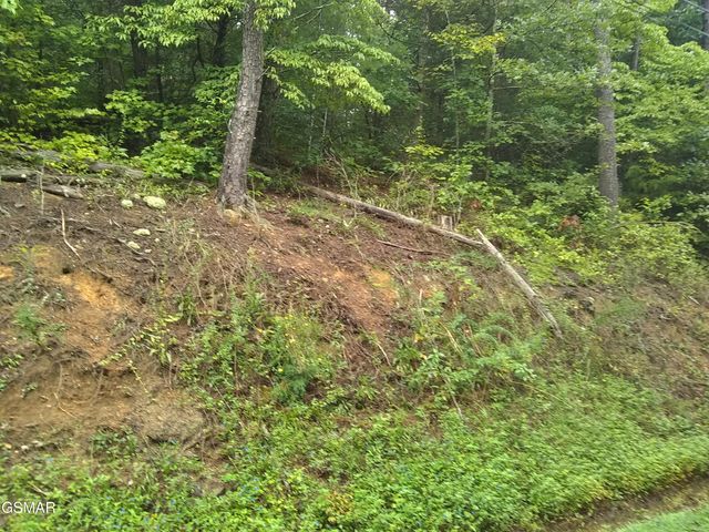 23 Walden Ridge Road, Sevierville, TN 37862