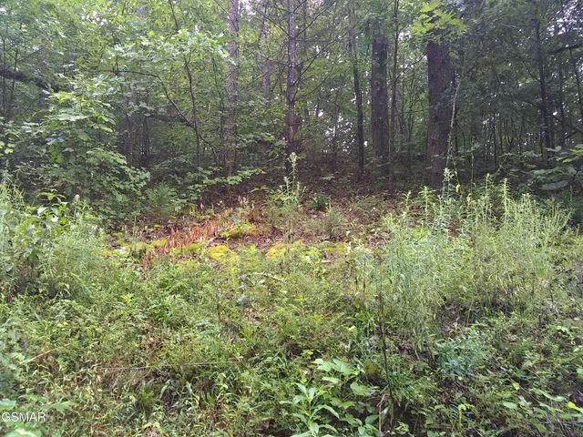 23 Walden Ridge Road, Sevierville, TN 37862