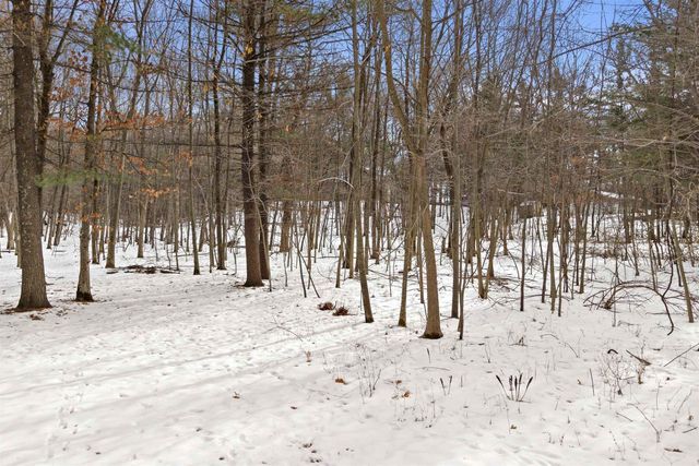Lot 69 18th Lane, Arkdale, WI 54613