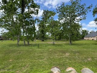 17114 Hamill Drive, Rosharon, TX 77583