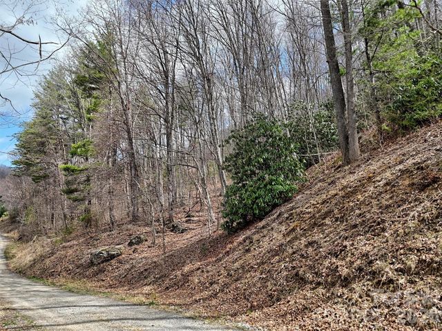 TBD Moonbeam Lane 101,102, Clyde, NC 28721
