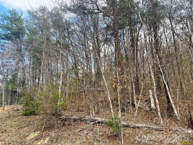 TBD Moonbeam Lane 101,102, Clyde, NC 28721