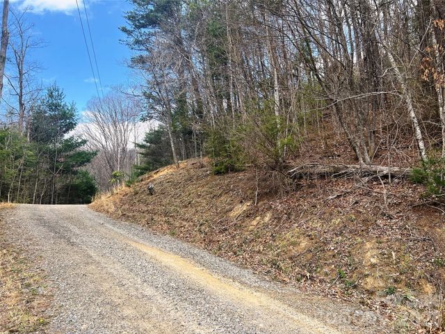 TBD Moonbeam Lane 101,102, Clyde, NC 28721