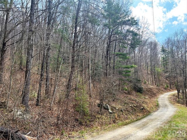 TBD Moonbeam Lane 101,102, Clyde, NC 28721