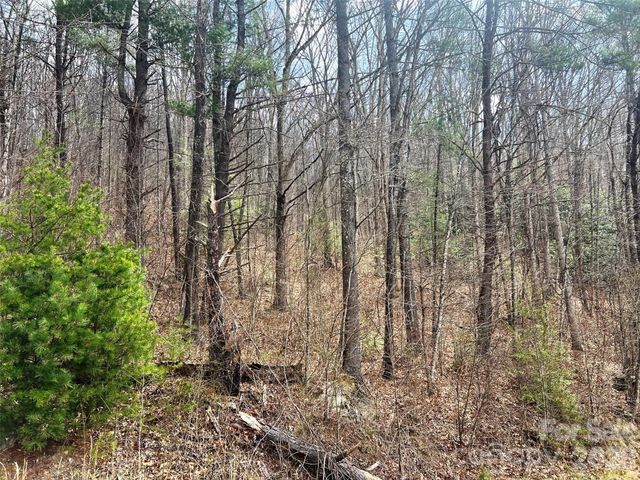 TBD Moonbeam Lane 101,102, Clyde, NC 28721