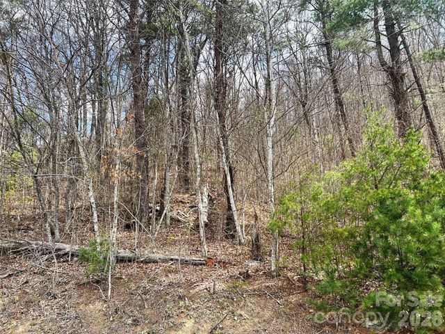 TBD Moonbeam Lane 101,102, Clyde, NC 28721