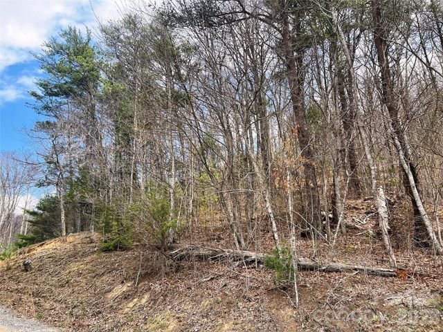 TBD Moonbeam Lane 101,102, Clyde, NC 28721