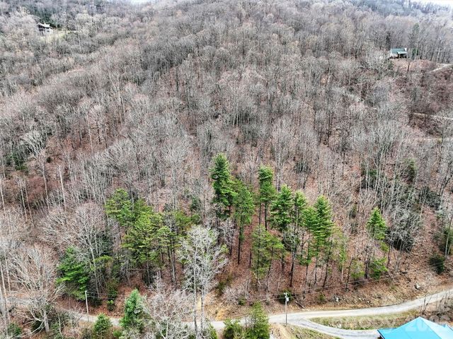 TBD Moonbeam Lane 101,102, Clyde, NC 28721
