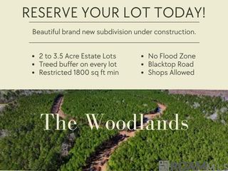 Lot 17 Honey Grove, Livingston, LA 70754