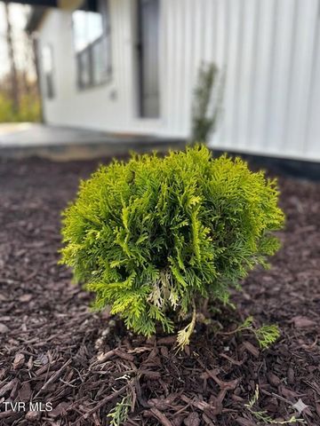 148 Whitson Drive, Elizabethton, TN 37643