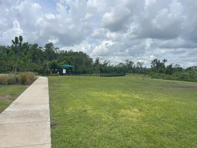 3943 ALMOND BROOK BOULEVARD, Land O Lakes, FL 34638