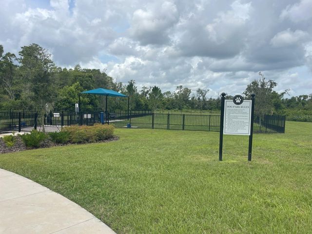3943 ALMOND BROOK BOULEVARD, Land O Lakes, FL 34638