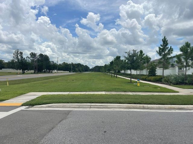 3943 ALMOND BROOK BOULEVARD, Land O Lakes, FL 34638