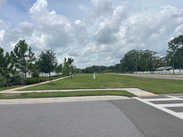 3943 ALMOND BROOK BOULEVARD, Land O Lakes, FL 34638