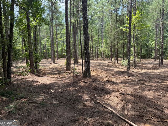0 S Highway 92, Fayetteville, GA 30215