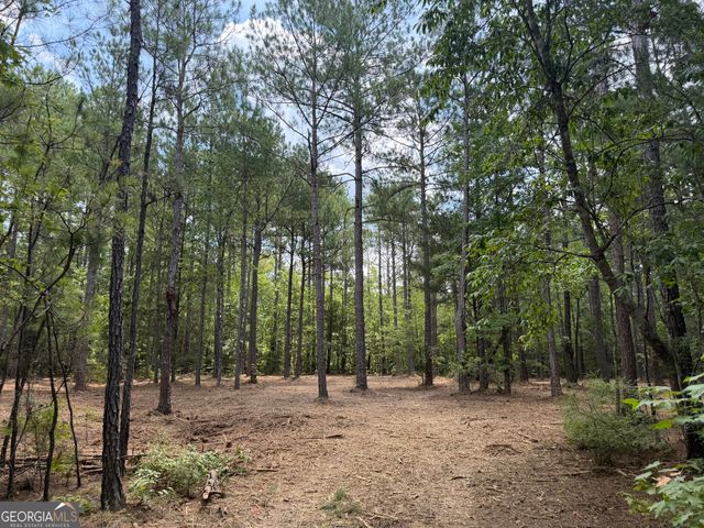 0 S Highway 92, Fayetteville, GA 30215