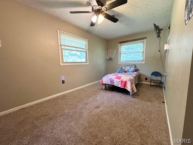 9 Dogwood Drive, Waynesville, MO 65583