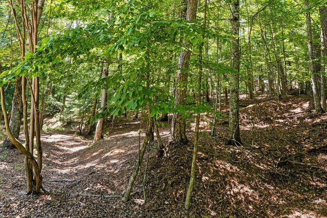 1247 Newport Drive, Ellijay, GA 30540