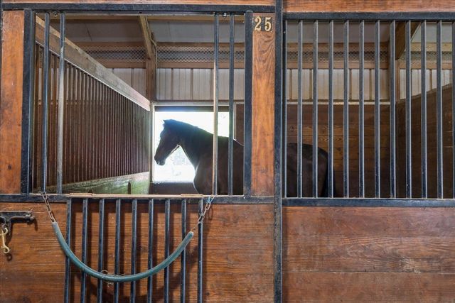 450 N REID-HOOKER RD, Eads, TN 38028