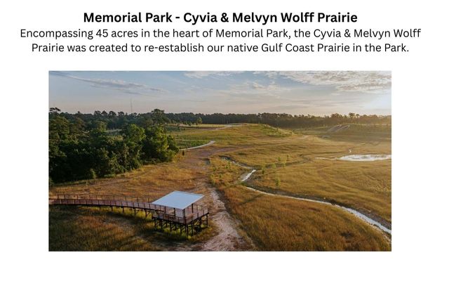 4536 Sunburst Street, Bellaire, TX 77401