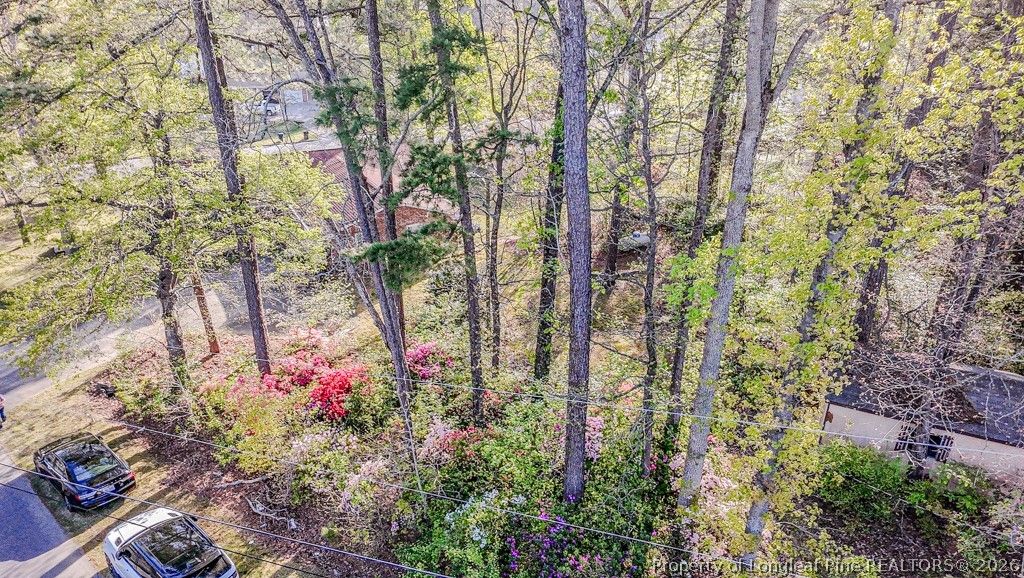 820 Primrose Lane, Sanford, NC 27330 — photo 31