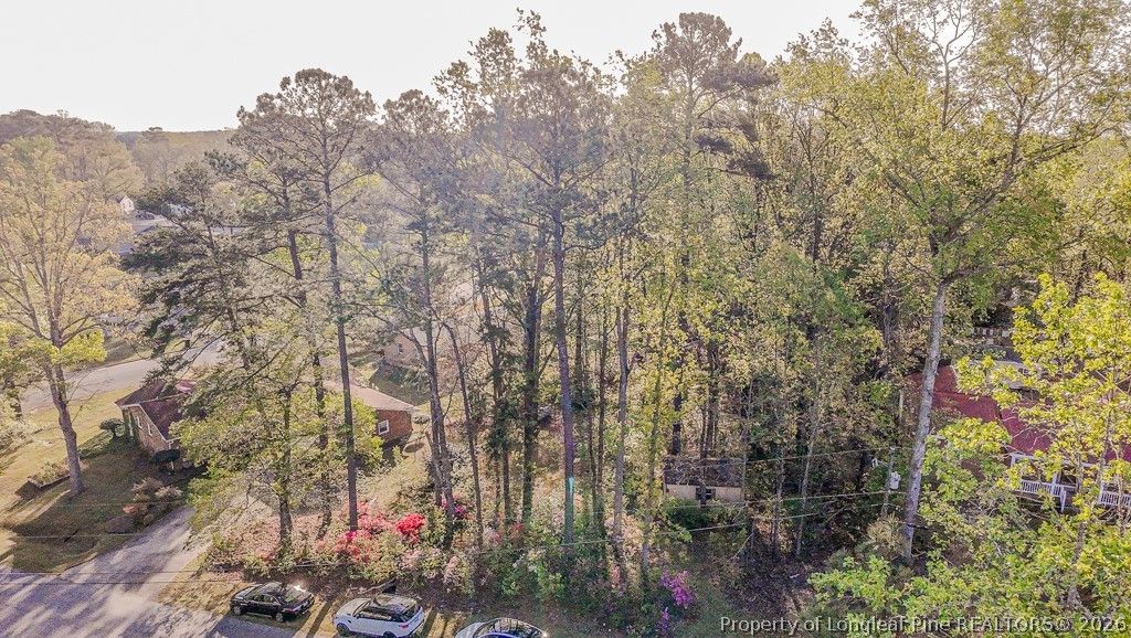 820 Primrose Lane, Sanford, NC 27330 — photo 32