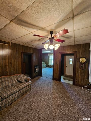 211 W MULBERRY, San Jose, IL 62682