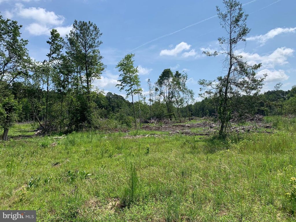 34603 WARREN RD, Pittsville, MD 21850
