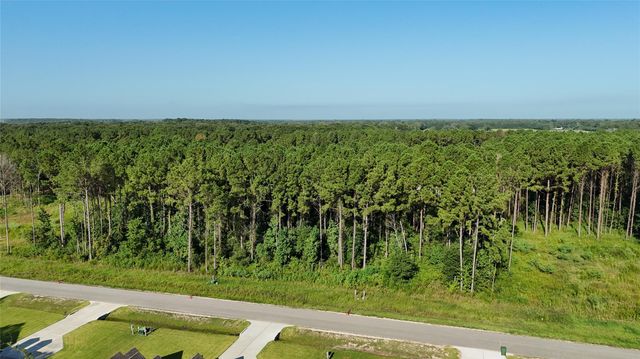 3169 Road 66125, Dayton, TX 77535