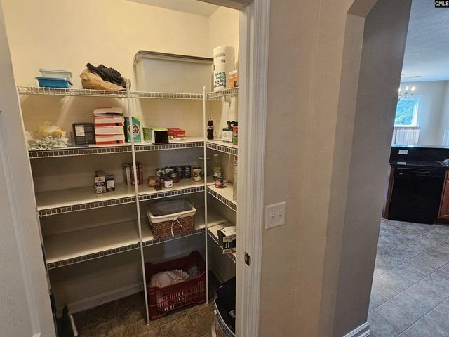 322 Spring Mist Court, Lexington, SC 29072