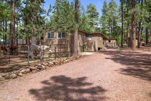 1659 MORMON Road, Happy Jack, AZ 86024