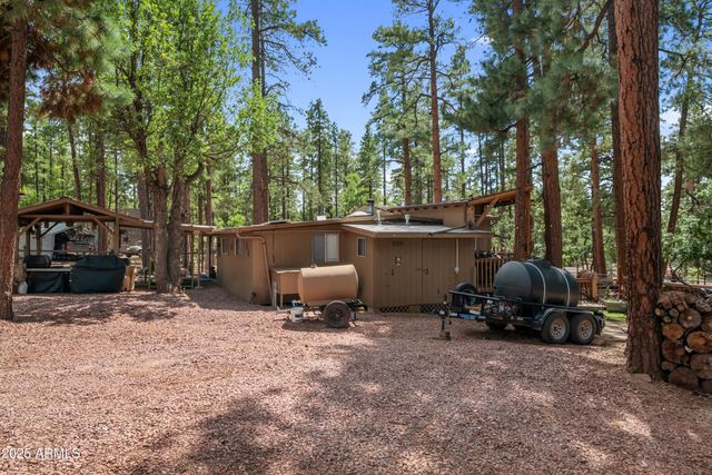 1659 MORMON Road, Happy Jack, AZ 86024