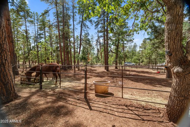 1659 MORMON Road, Happy Jack, AZ 86024