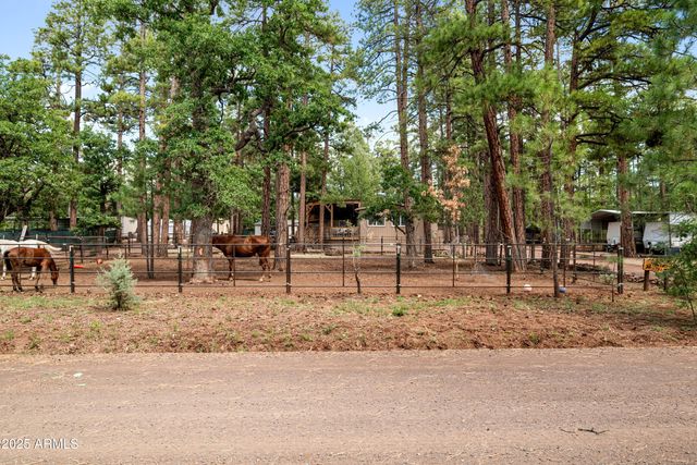 1659 MORMON Road, Happy Jack, AZ 86024