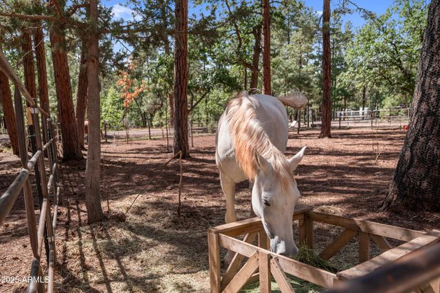 1659 MORMON Road, Happy Jack, AZ 86024