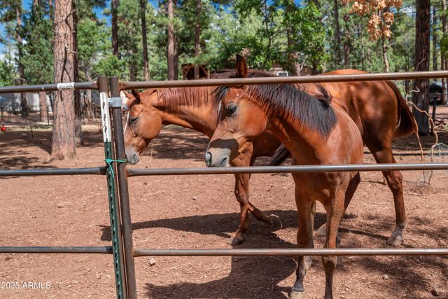 1659 MORMON Road, Happy Jack, AZ 86024