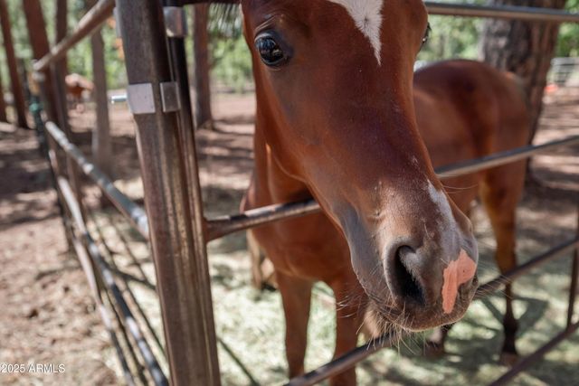 1659 MORMON Road, Happy Jack, AZ 86024