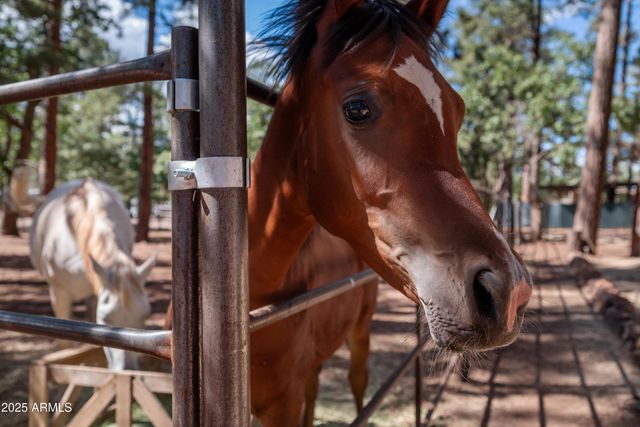 1659 MORMON Road, Happy Jack, AZ 86024