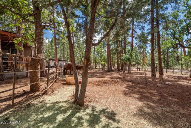 1659 MORMON Road, Happy Jack, AZ 86024