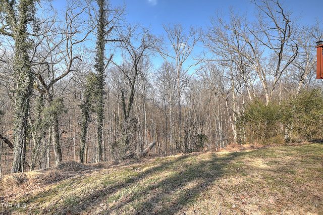 4534 Brookridge Drive, Kingsport, TN 37664